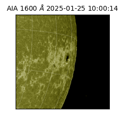 saia - 2025-01-25T10:00:14.125000