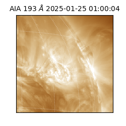 saia - 2025-01-25T01:00:04.843000