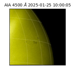 saia - 2025-01-25T10:00:05.963000