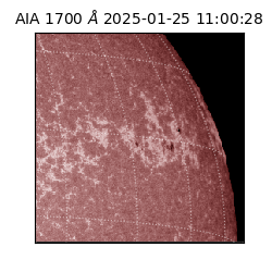 saia - 2025-01-25T11:00:28.749000