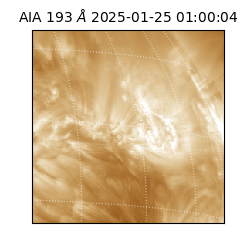 saia - 2025-01-25T01:00:04.843000