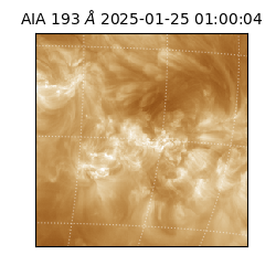 saia - 2025-01-25T01:00:04.843000