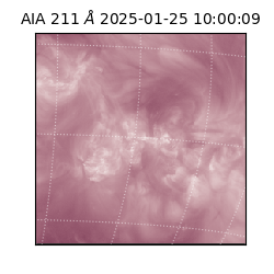 saia - 2025-01-25T10:00:09.626000