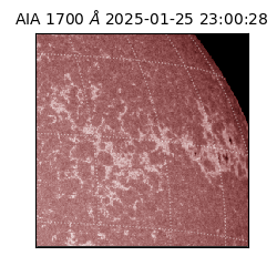 saia - 2025-01-25T23:00:28.717000