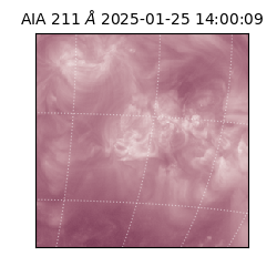 saia - 2025-01-25T14:00:09.630000