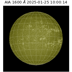 saia - 2025-01-25T10:00:14.125000