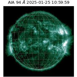 saia - 2025-01-25T10:59:59.130000