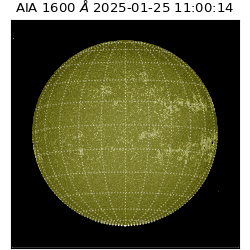 saia - 2025-01-25T11:00:14.126000