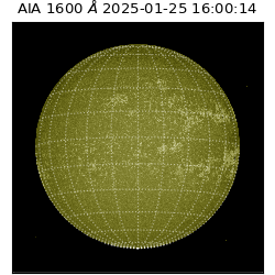 saia - 2025-01-25T16:00:14.125000