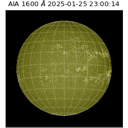 saia - 2025-01-25T23:00:14.126000
