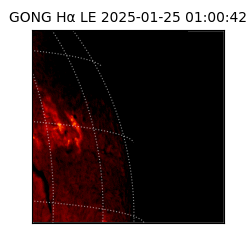 gong - 2025-01-25T01:00:42