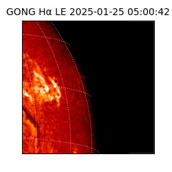 gong - 2025-01-25T05:00:42