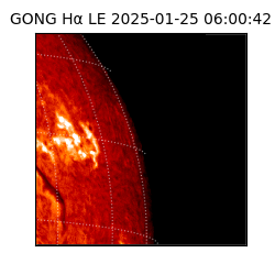 gong - 2025-01-25T06:00:42