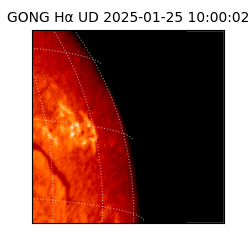 gong - 2025-01-25T10:00:02