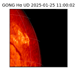 gong - 2025-01-25T11:00:02