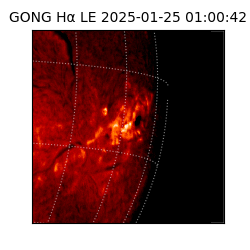gong - 2025-01-25T01:00:42