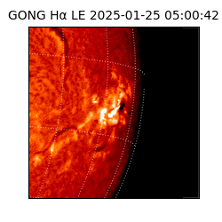 gong - 2025-01-25T05:00:42