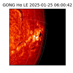 gong - 2025-01-25T06:00:42