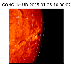 gong - 2025-01-25T10:00:02