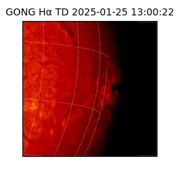 gong - 2025-01-25T13:00:22