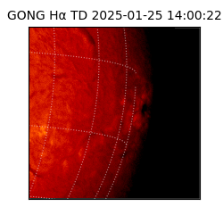 gong - 2025-01-25T14:00:22