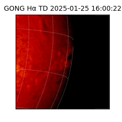 gong - 2025-01-25T16:00:22