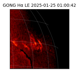 gong - 2025-01-25T01:00:42