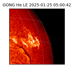 gong - 2025-01-25T05:00:42