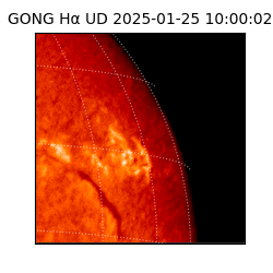 gong - 2025-01-25T10:00:02