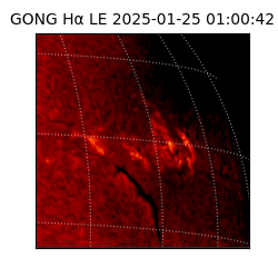 gong - 2025-01-25T01:00:42