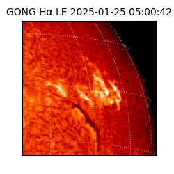 gong - 2025-01-25T05:00:42