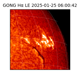 gong - 2025-01-25T06:00:42