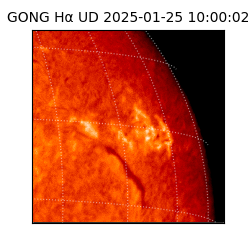 gong - 2025-01-25T10:00:02