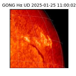 gong - 2025-01-25T11:00:02