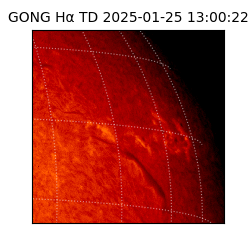 gong - 2025-01-25T13:00:22