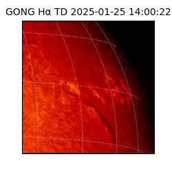 gong - 2025-01-25T14:00:22