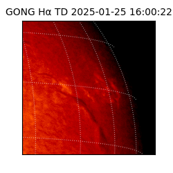 gong - 2025-01-25T16:00:22