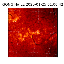 gong - 2025-01-25T01:00:42