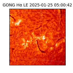 gong - 2025-01-25T05:00:42