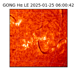 gong - 2025-01-25T06:00:42