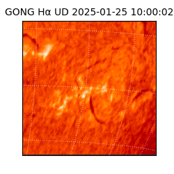 gong - 2025-01-25T10:00:02