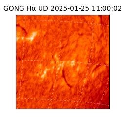 gong - 2025-01-25T11:00:02