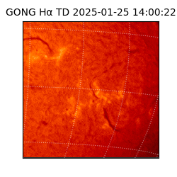 gong - 2025-01-25T14:00:22