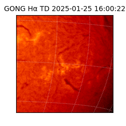 gong - 2025-01-25T16:00:22