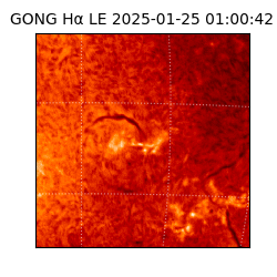 gong - 2025-01-25T01:00:42