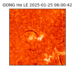 gong - 2025-01-25T06:00:42