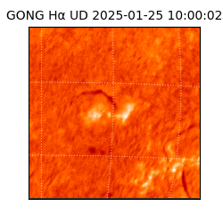 gong - 2025-01-25T10:00:02