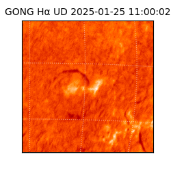 gong - 2025-01-25T11:00:02