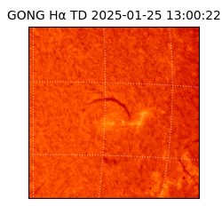 gong - 2025-01-25T13:00:22