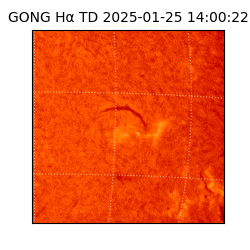 gong - 2025-01-25T14:00:22